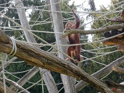 Tiergarten Schönbrunn am 23.03.2023